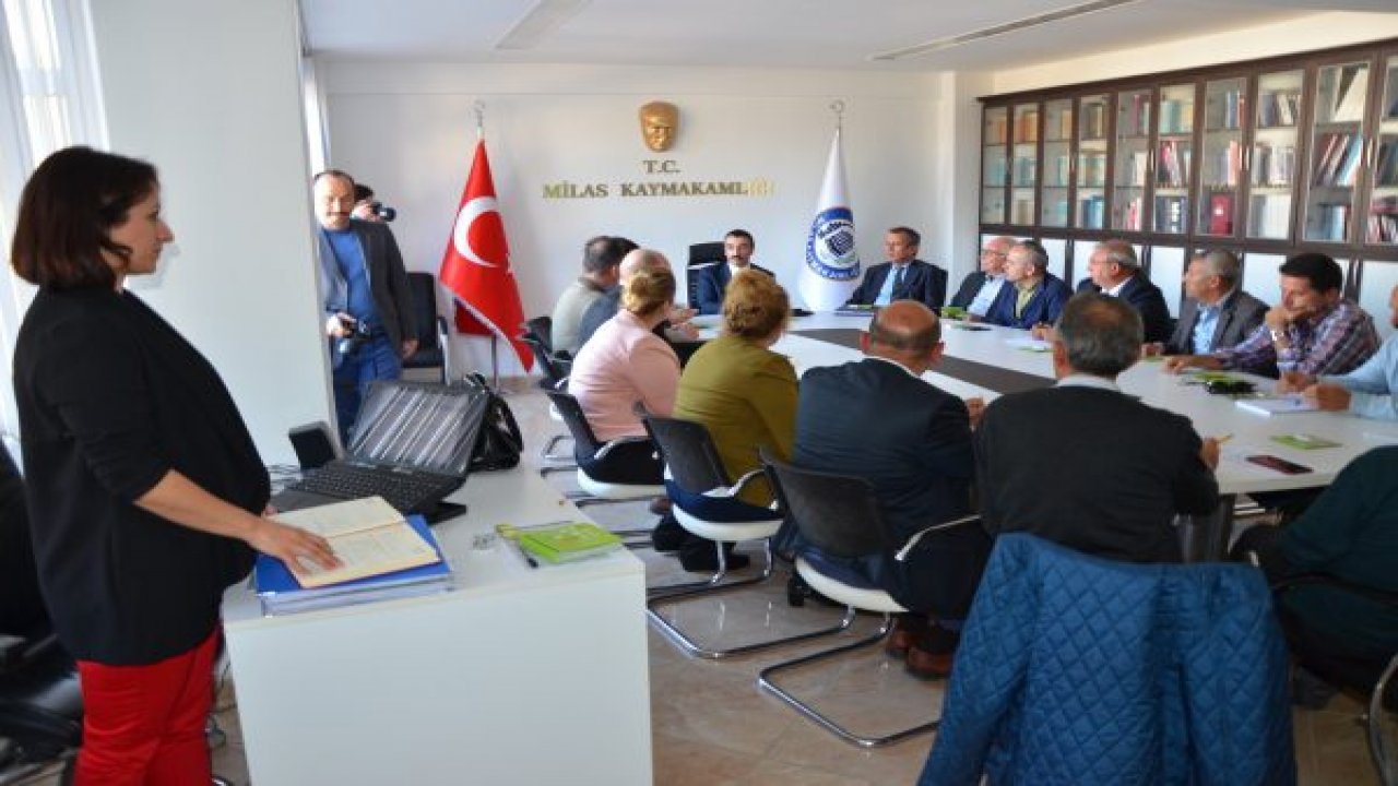 4. Milas Zeytin Hasat Şenliği