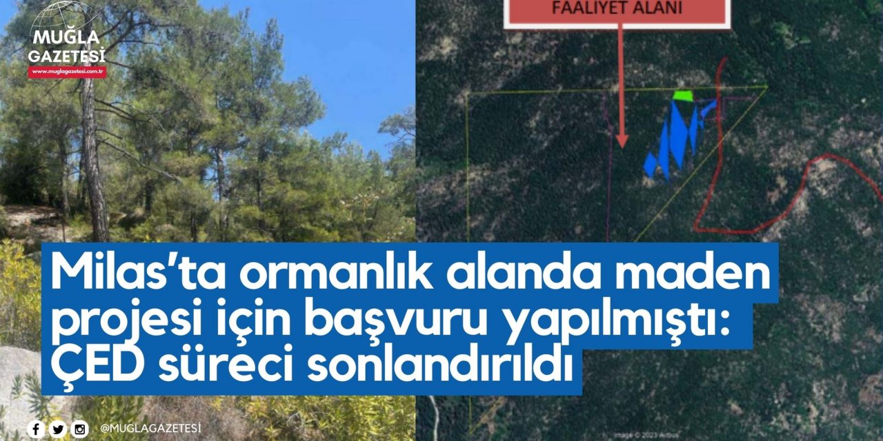 Milas’ta ormanlık alanda maden projesi için başvuru yapılmıştı: ÇED süreci sonlandırıldı