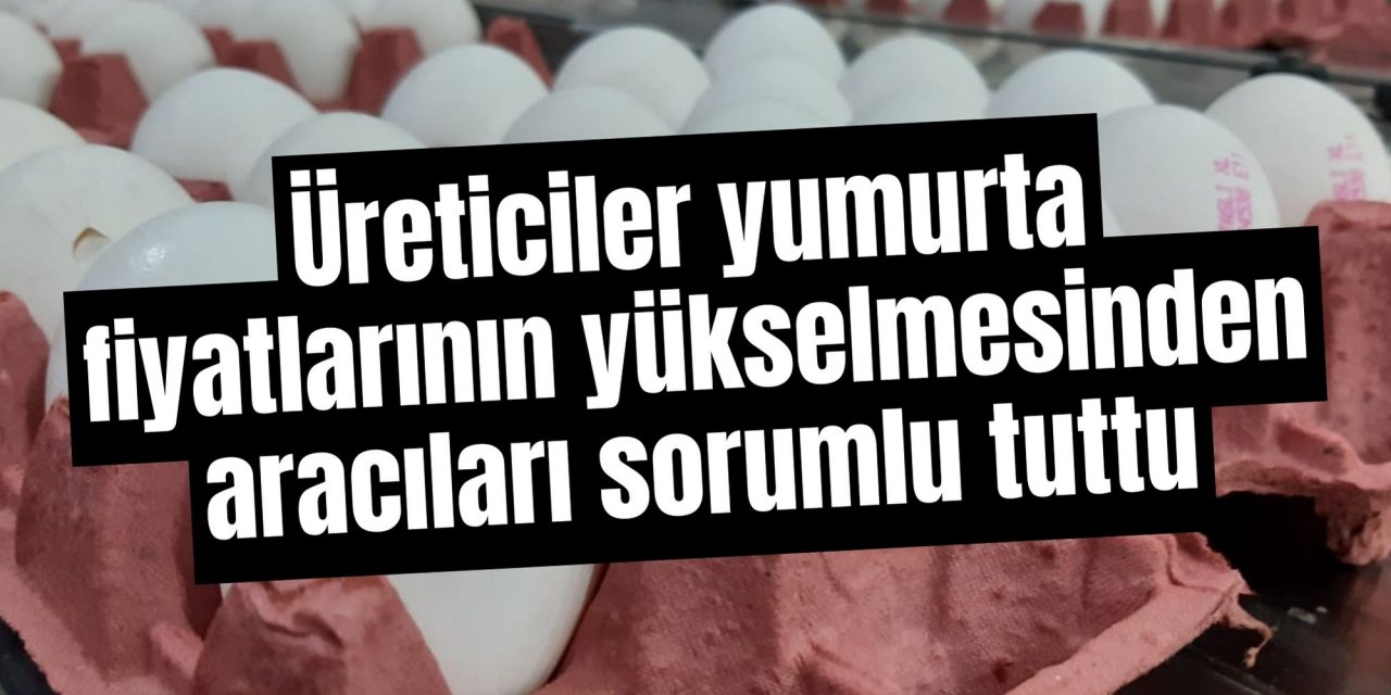 Üreticiler yumurta fiyatlarının yükselmesinden aracıları sorumlu tuttu