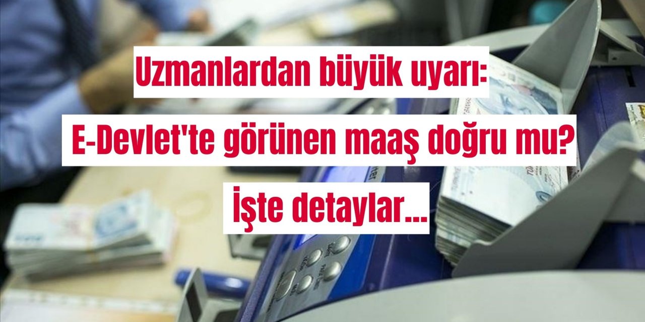 Uzmanlardan büyük uyarı: E-Devlet'te görünen maaş doğru mu? İşte detaylar...