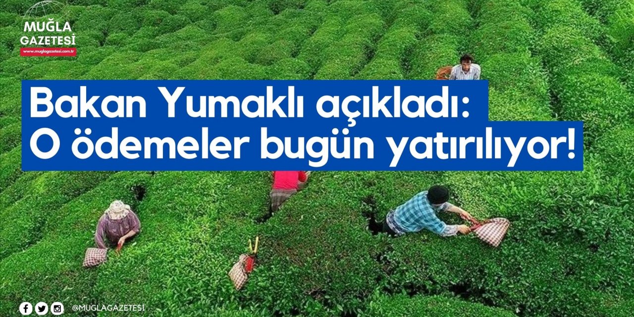 Bakan Yumaklı açıkladı: O ödemeler bugün yatırılıyor!