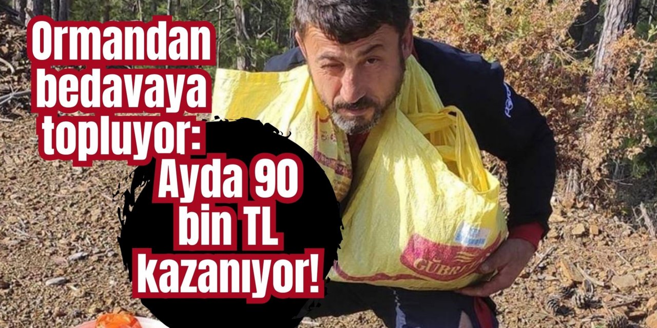 Ormandan bedavaya topluyor: Ayda 90 bin TL kazanıyor!