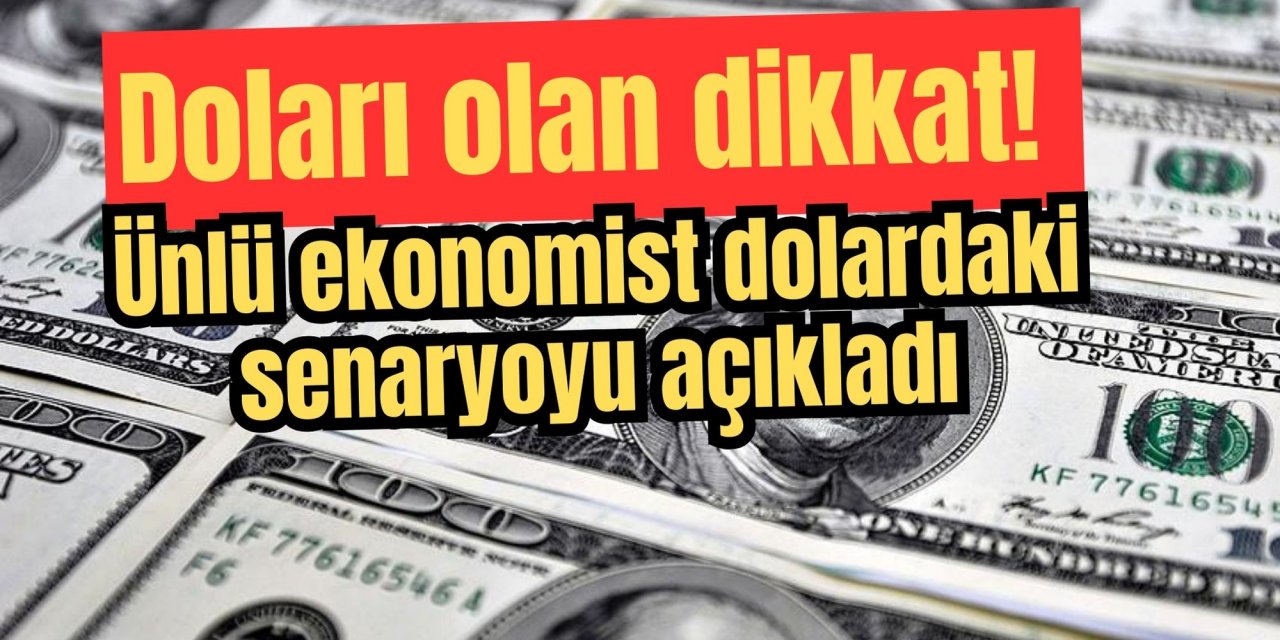 Doları olan dikkat! Ünlü ekonomist dolardaki senaryoyu açıkladı