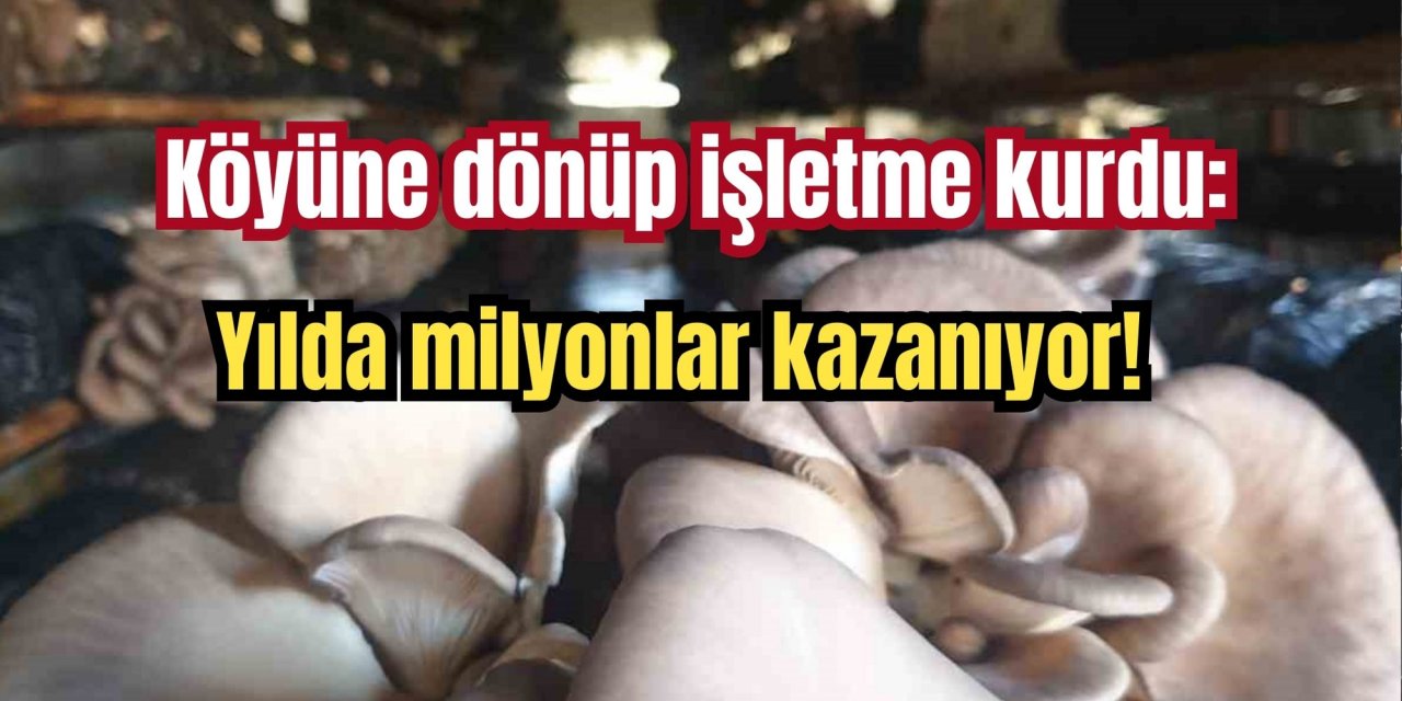 Köyüne dönüp işletme kurdu: Yılda milyonlar kazanıyor!