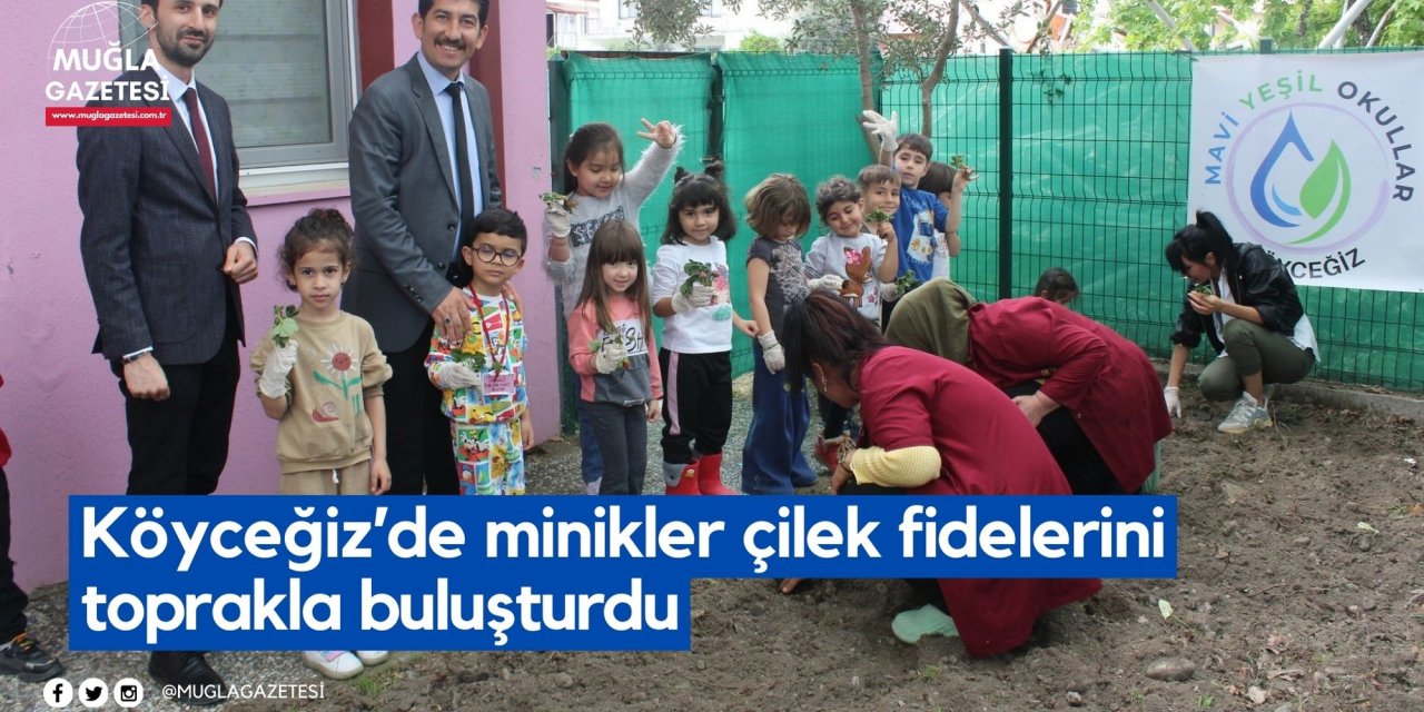 Köyceğiz’de minikler çilek fidelerini toprakla buluşturdu
