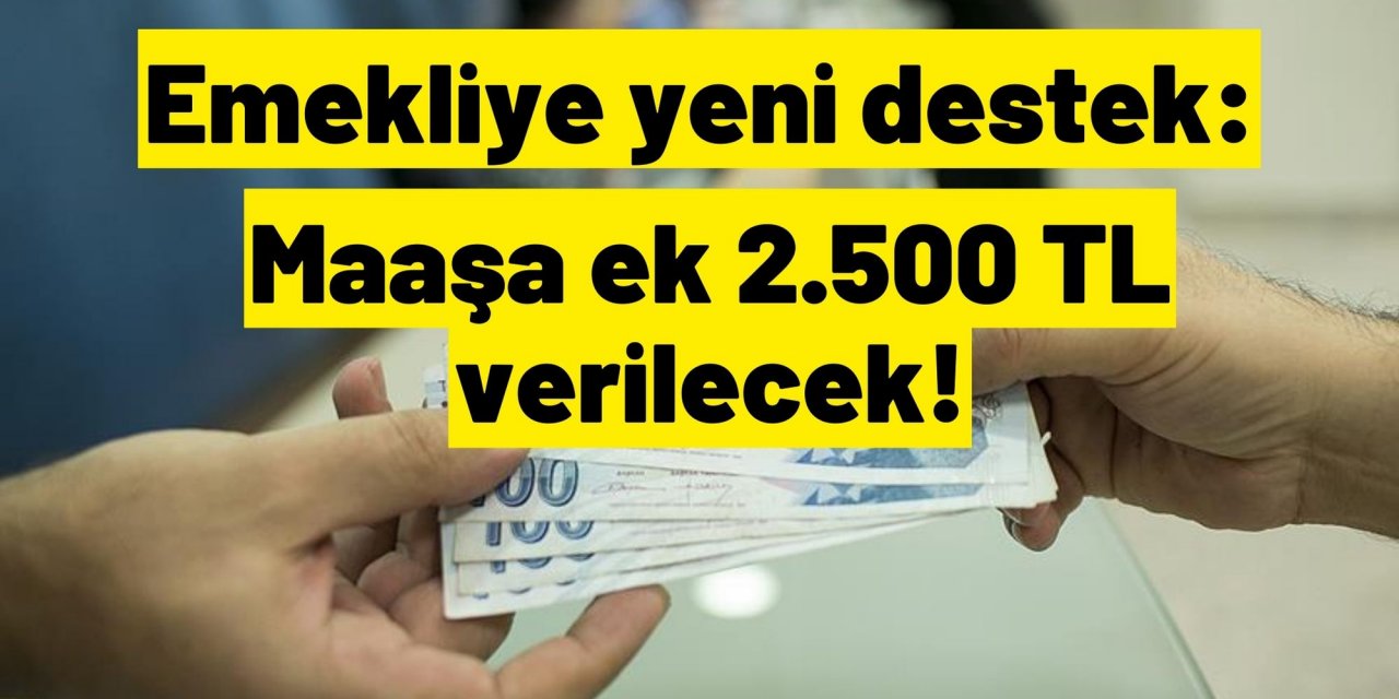 Emekliye yeni destek: Maaşa ek 2.500 TL verilecek!