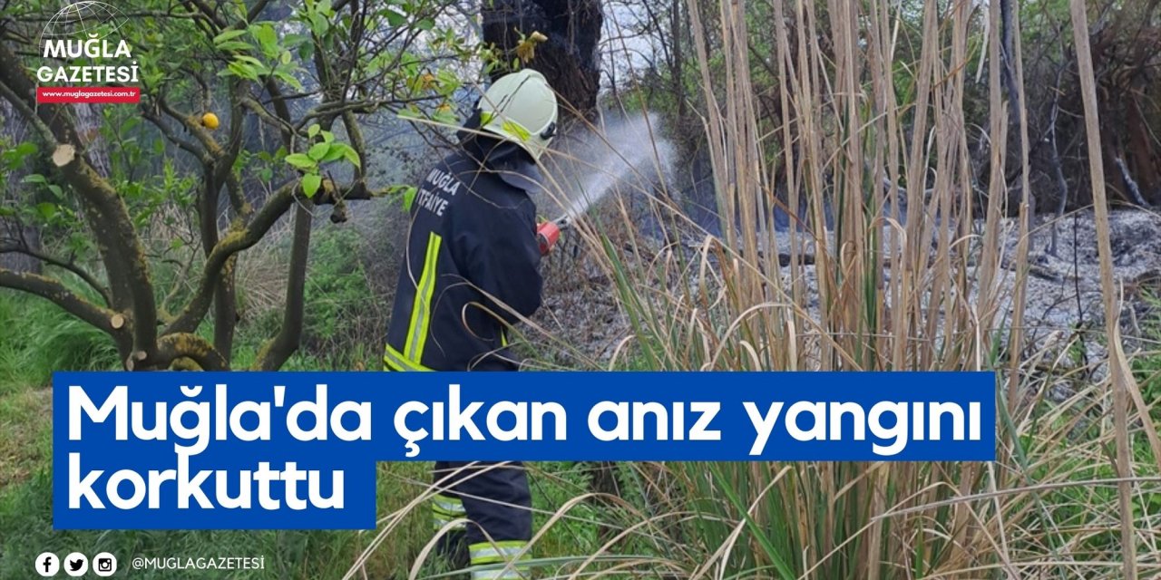 Muğla'da çıkan anız yangını korkuttu