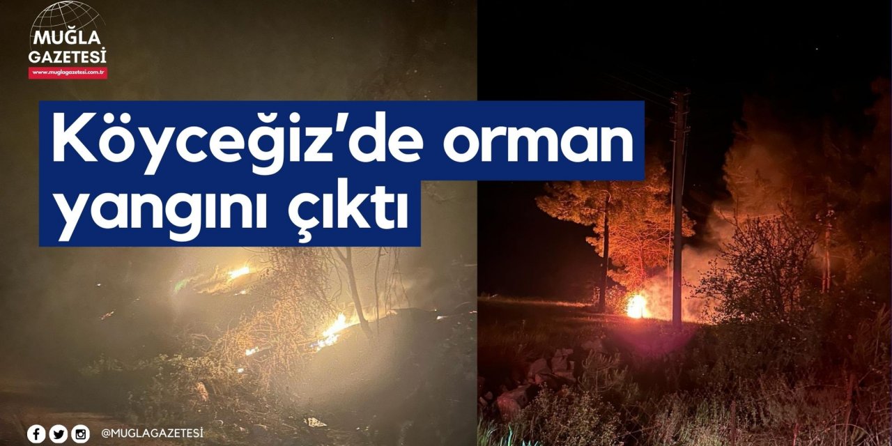 Köyceğiz’de orman yangını çıktı