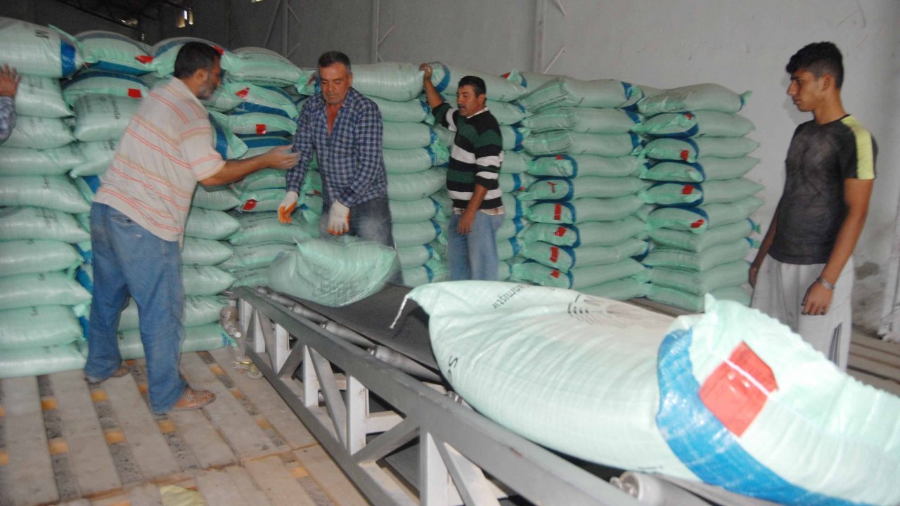 TİGEM’den Kıbrıs’a tohumluk buğday