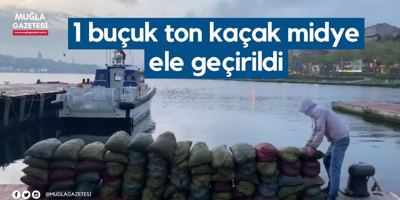 1 buçuk ton kaçak midye ele geçirildi