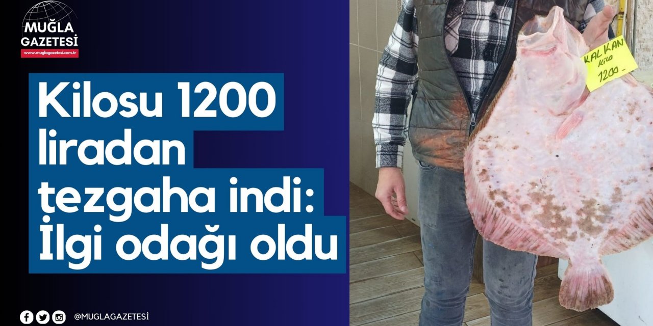 Kilosu bin 200 liradan tezgaha indi, ilgi odağı oldu