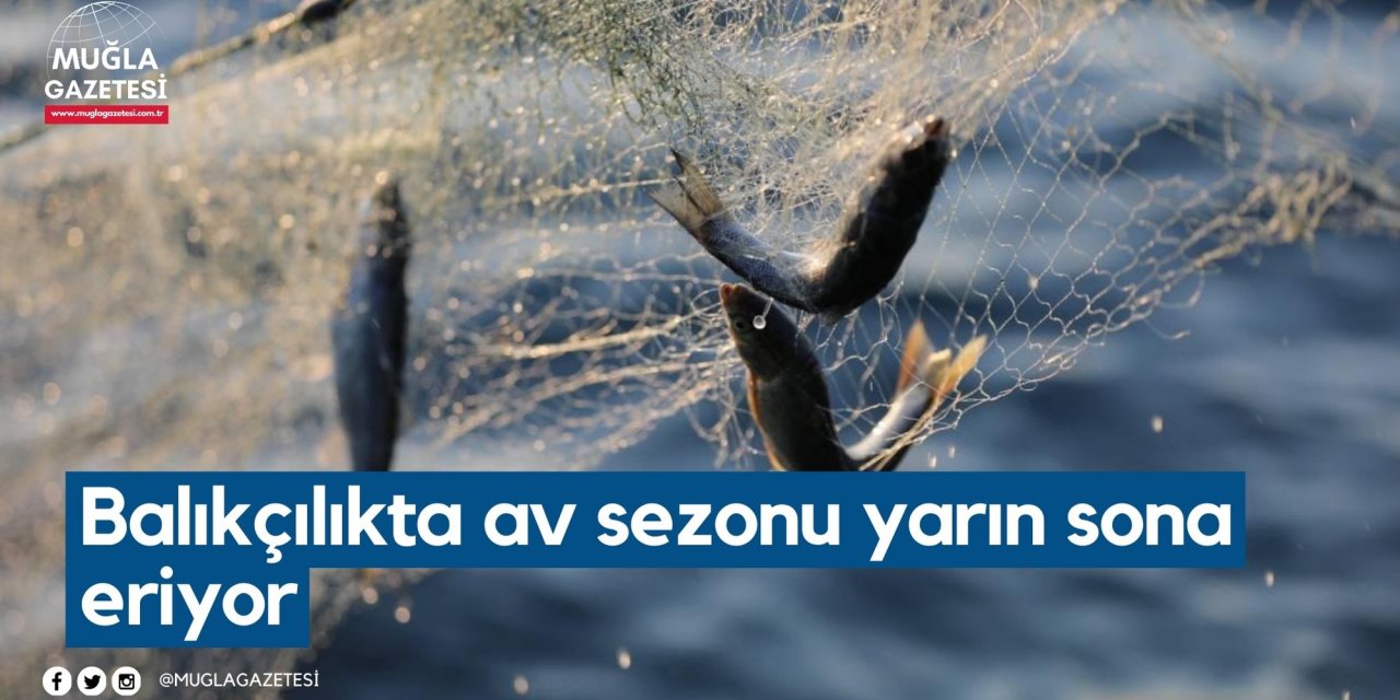 Balıkçılıkta av sezonu yarın sona eriyor
