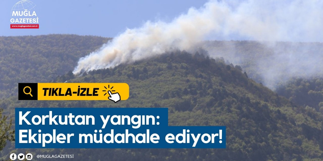 Korkutan yangın: Ekipler müdahale ediyor!