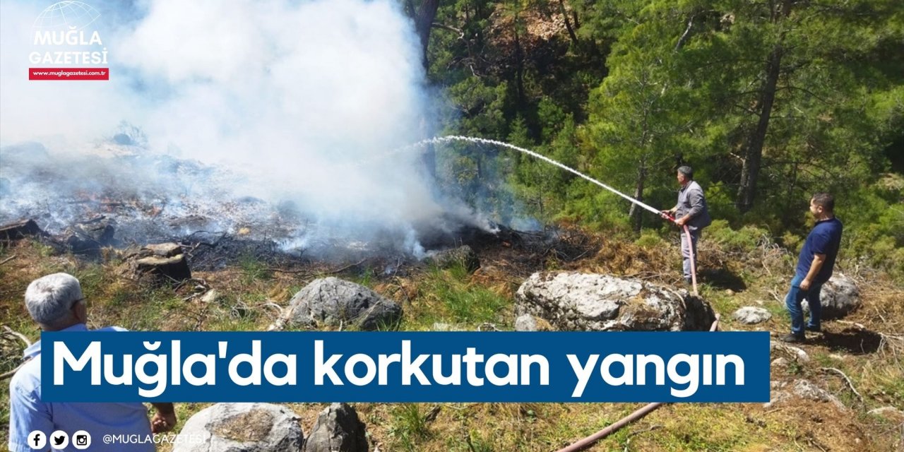 Muğla'da korkutan yangın