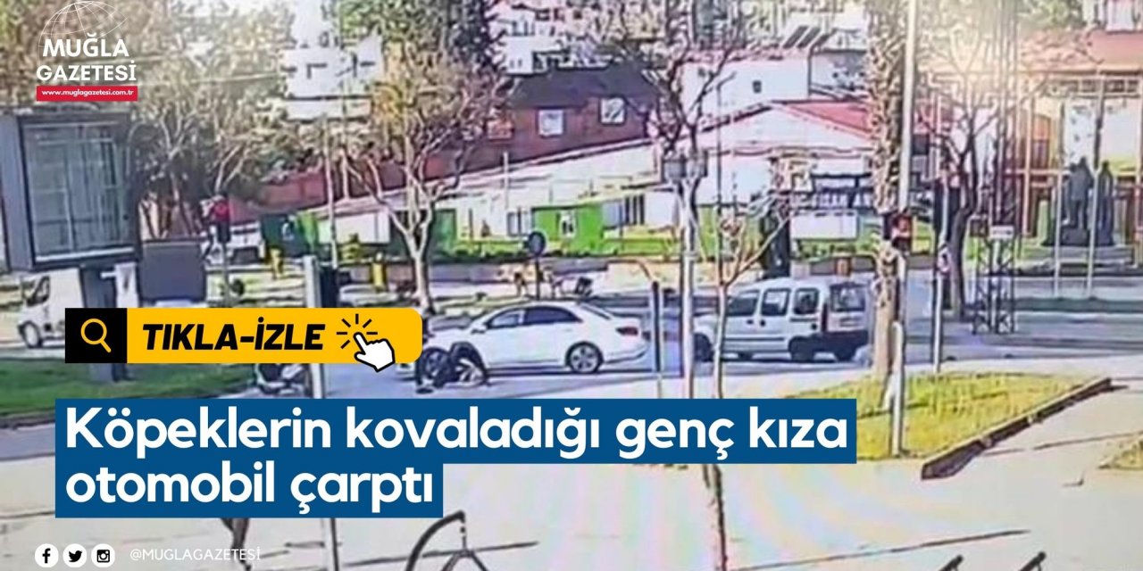 Köpeklerin kovaladığı genç kıza otomobil çarptı