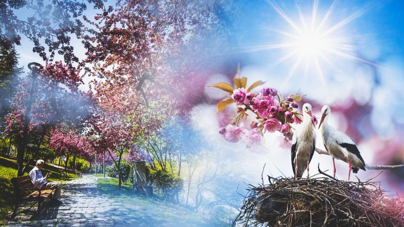 Sıcaklıklar artıyor... Yeni hafta da hava nasıl olacak?