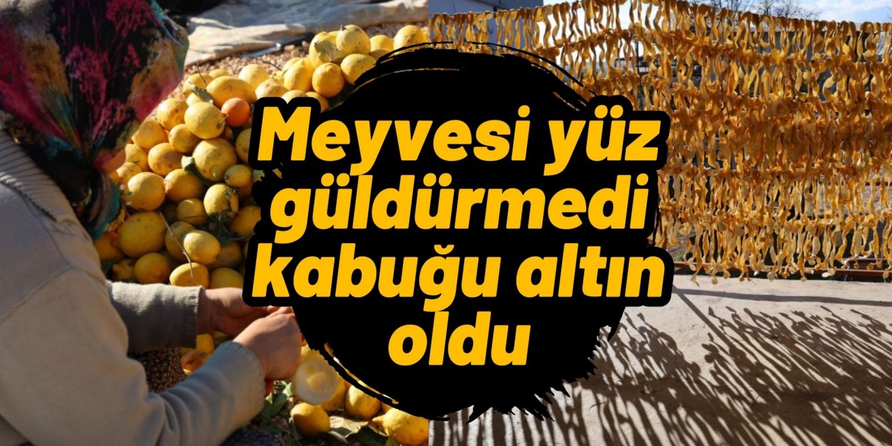 Meyvesi yüz güldürmedi kabuğu altın oldu