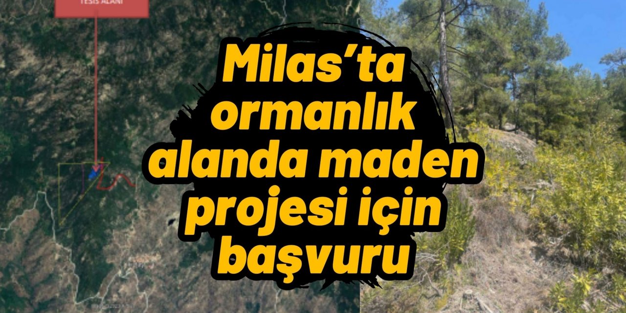 Milas’ta ormanlık alanda maden projesi için başvuru