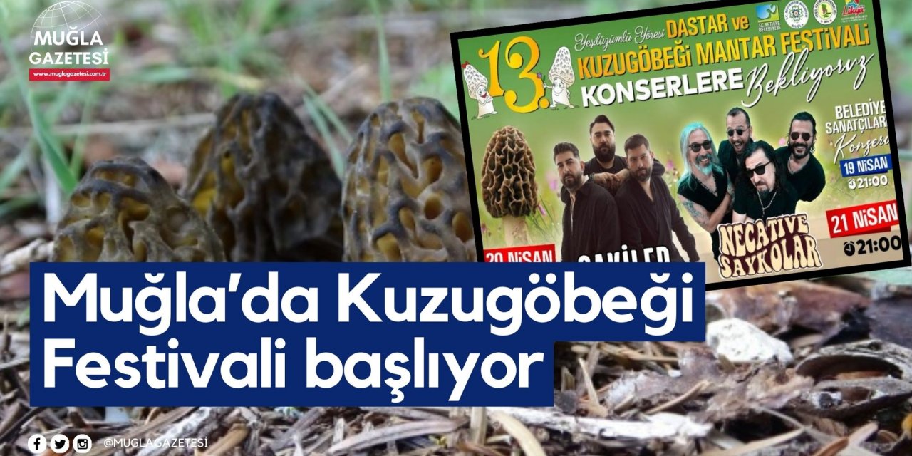 Muğla’da Kuzugöbeği Festivali başlıyor