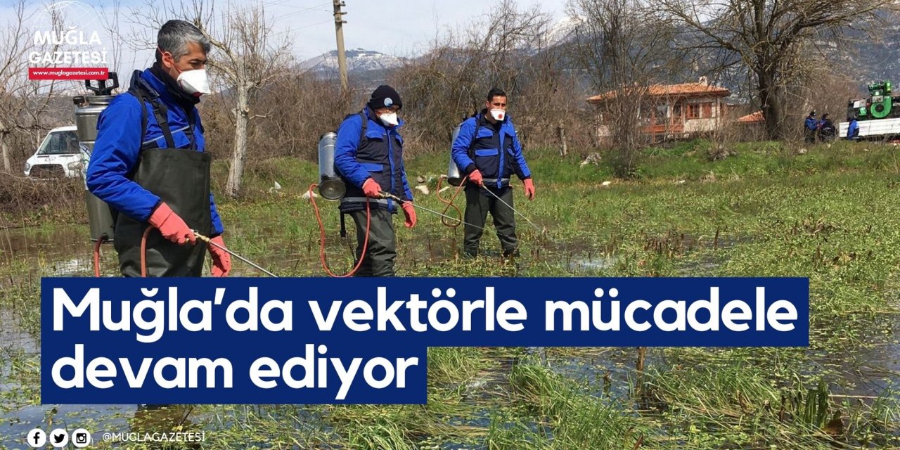 Muğla’da vektörle mücadele devam ediyor