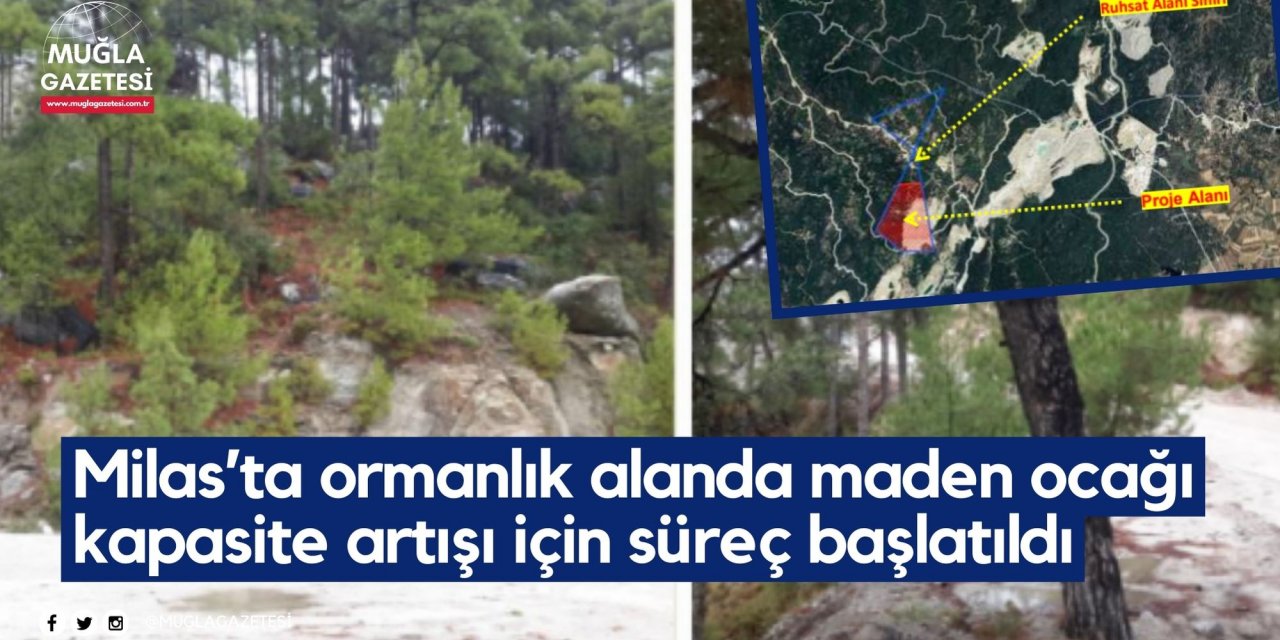 Milas’ta ormanlık alanda maden ocağı kapasite artışı için süreç başlatıldı