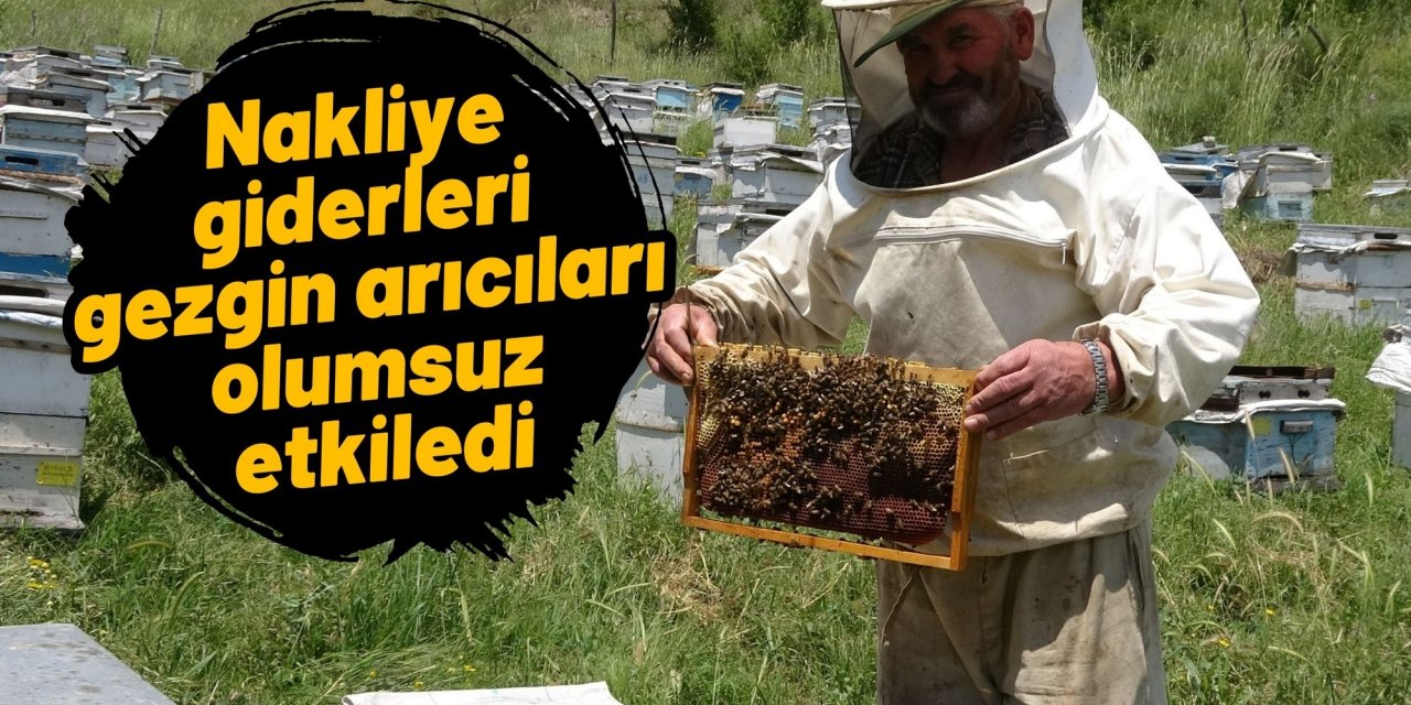 Nakliye giderleri gezgin arıcıları olumsuz etkiledi