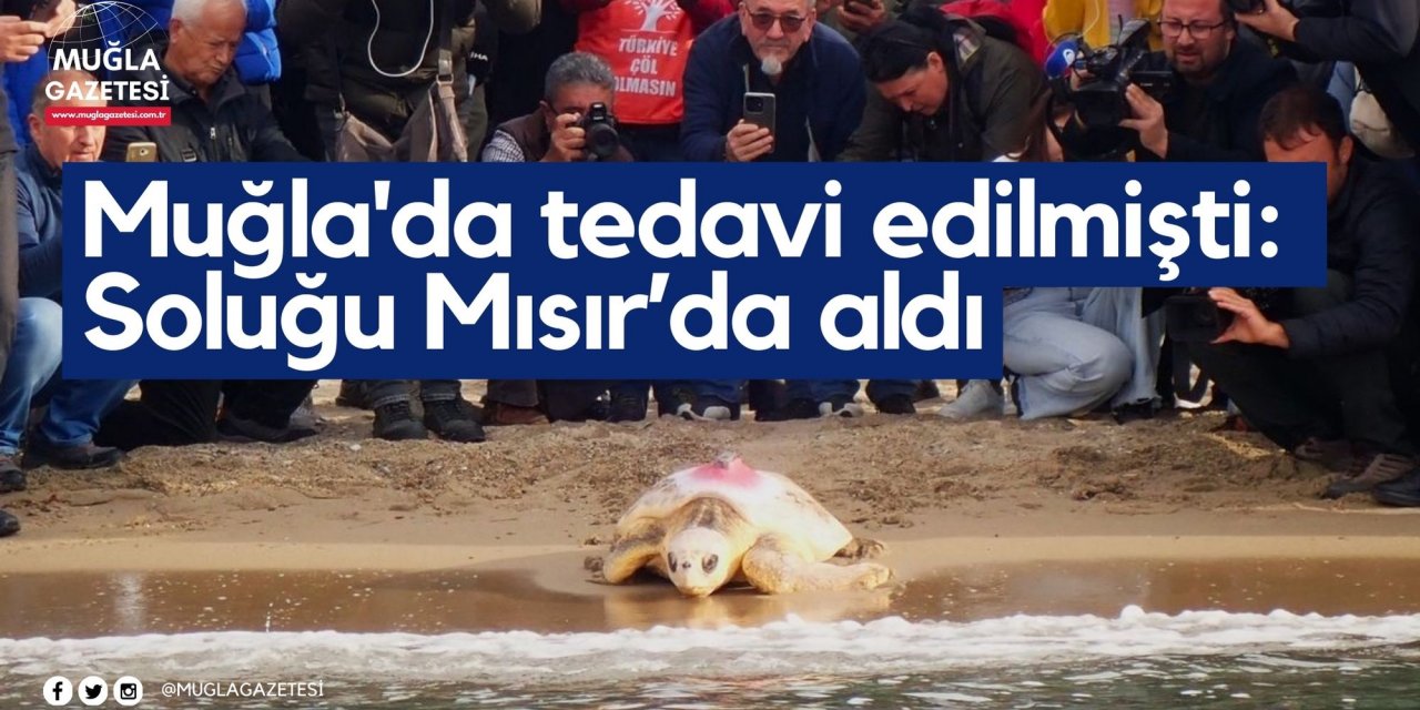 Muğla'da tedavi edilmişti: Soluğu Mısır’da aldı