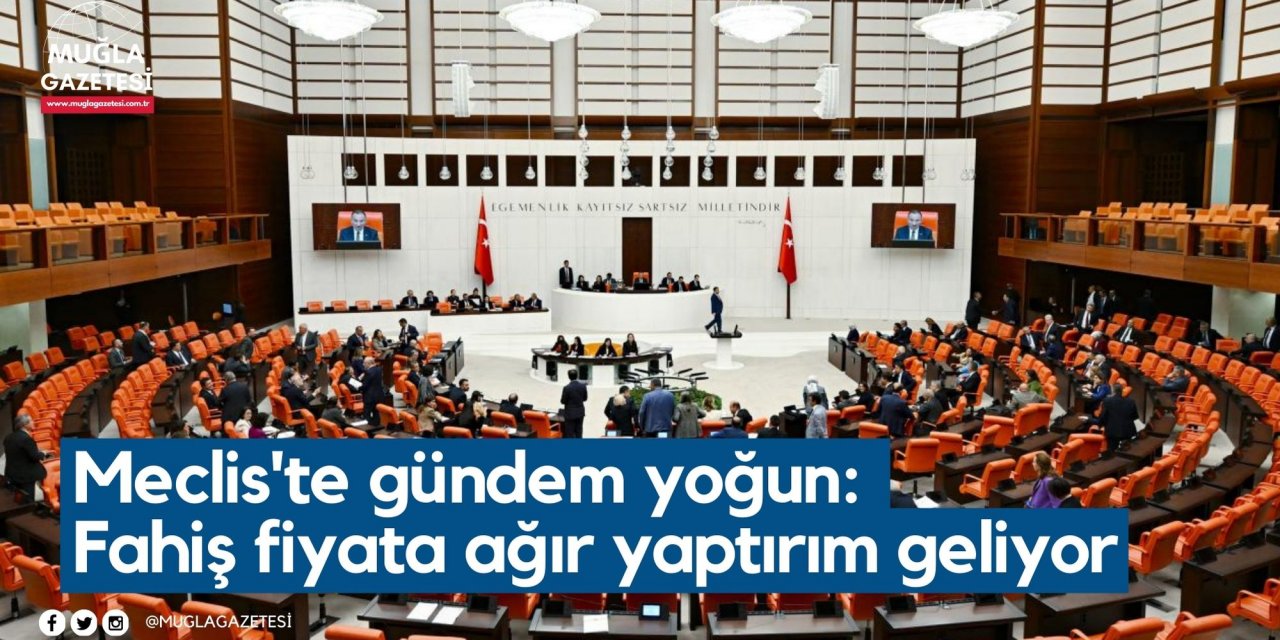 Meclis'te gündem yoğun: Fahiş fiyata ağır yaptırım geliyor
