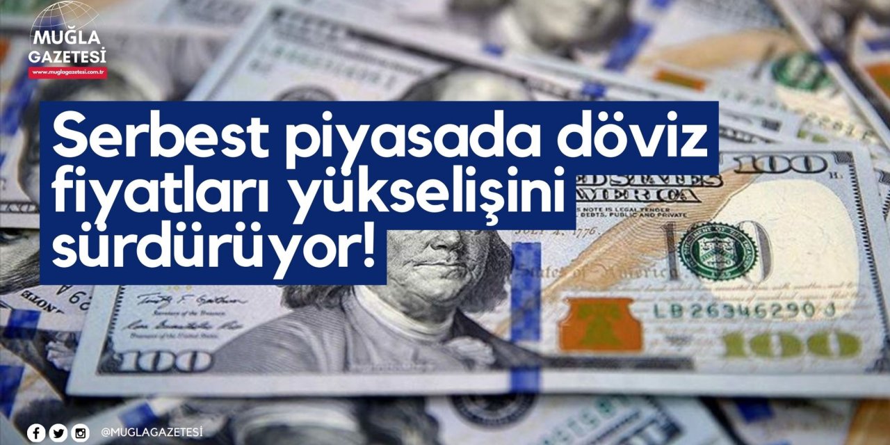 Serbest piyasada döviz fiyatları yükselişini sürdürüyor!