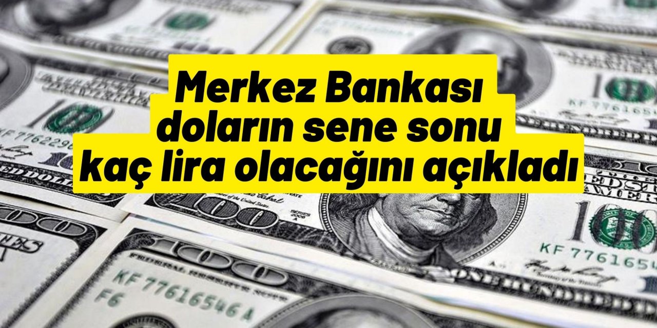 Merkez Bankası doların sene sonu kaç lira olacağını açıkladı