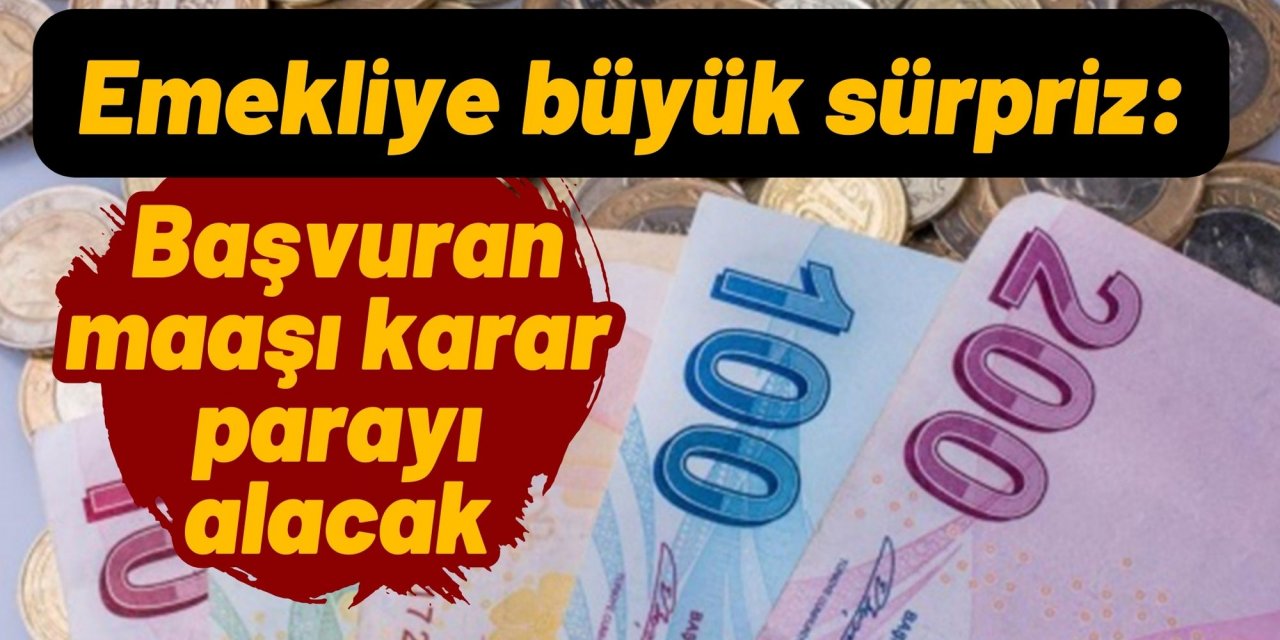 Emekliye büyük sürpriz: Başvuran maaşı karar parayı alacak