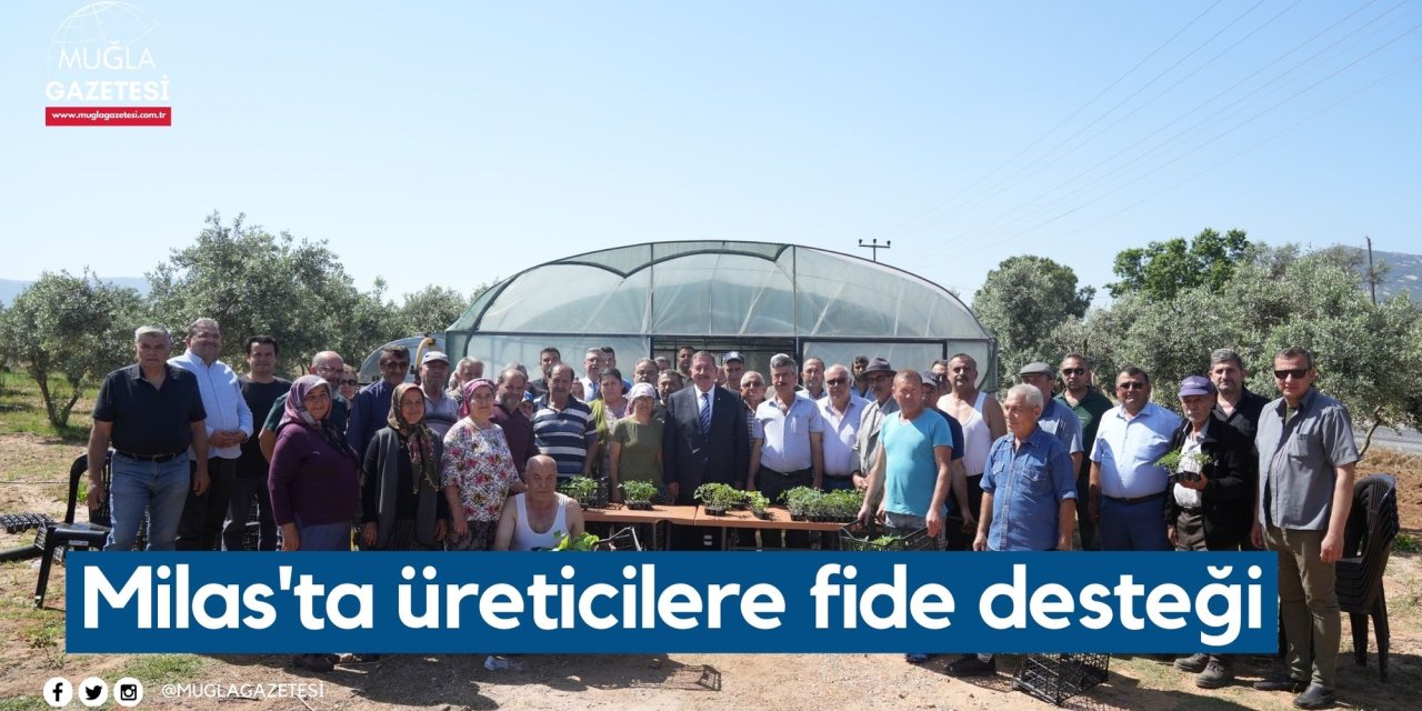 Milas'ta üreticilere fide desteği