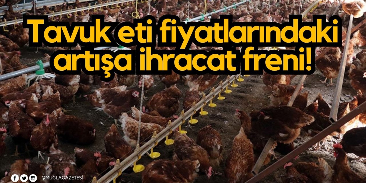 Tavuk eti fiyatlarındaki artışa ihracat freni!
