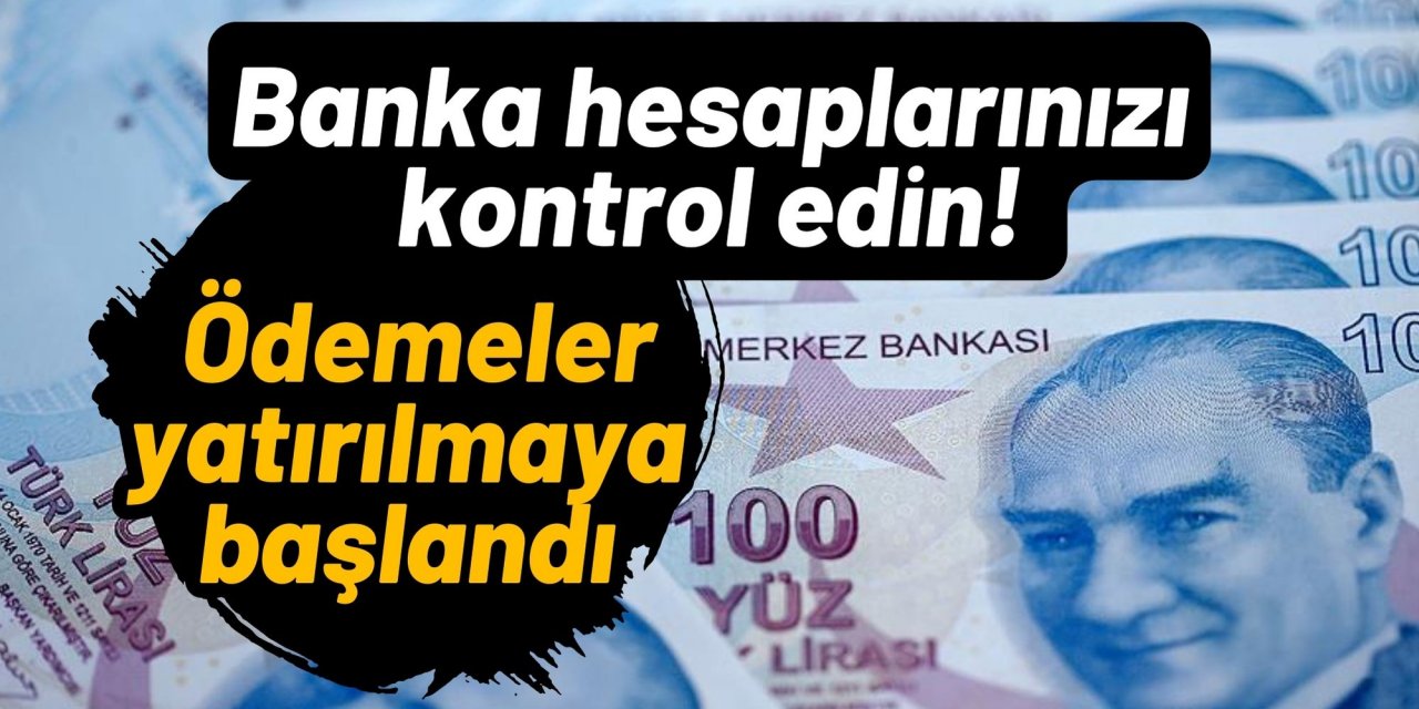 Banka hesaplarınızı kontrol edin! Ödemeler yatırılmaya başlandı