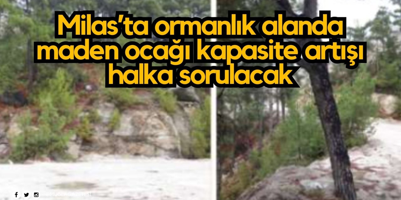 Milas’ta ormanlık alanda maden ocağı kapasite artışı halka sorulacak