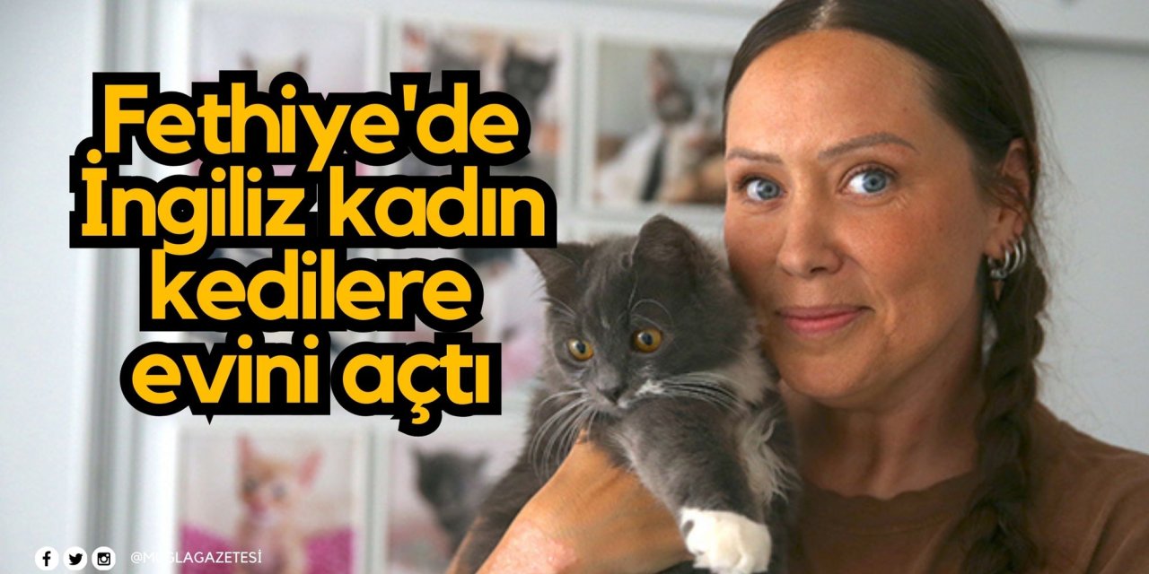 Fethiye'de İngiliz kadın kedilere evini açtı