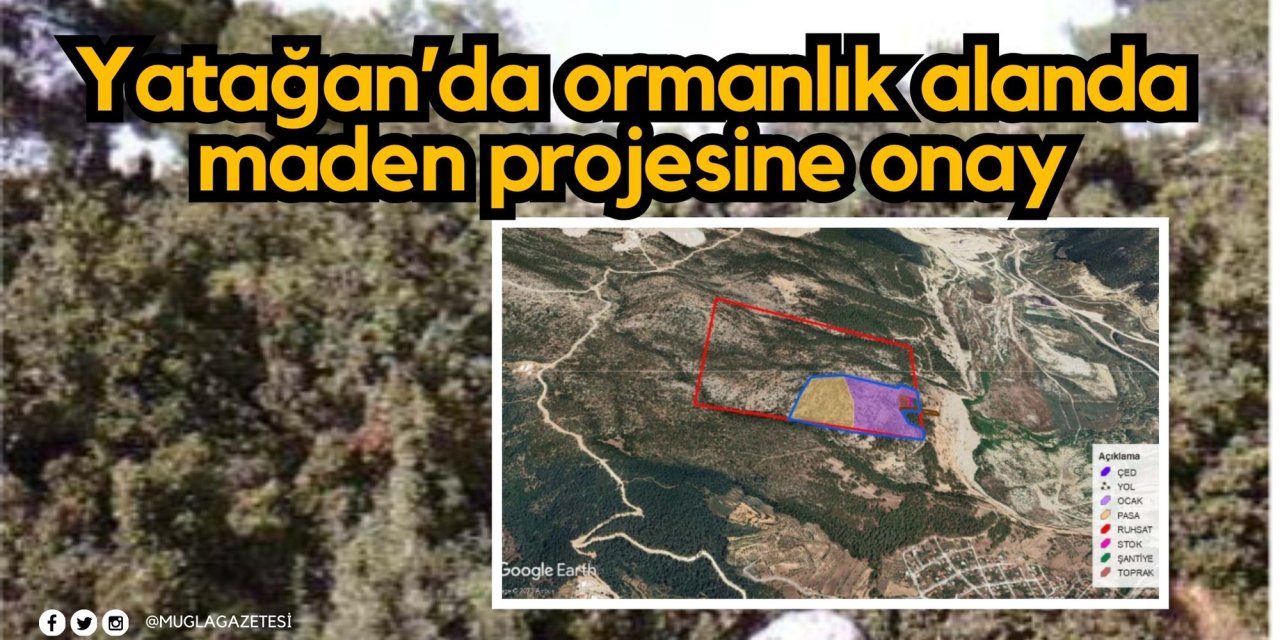 Yatağan’da ormanlık alanda maden projesine onay