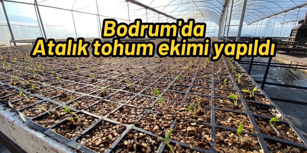 Bodrum'da Atalık tohum ekimi yapıldı