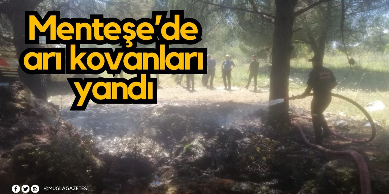 Menteşe’de arı kovanları yandı