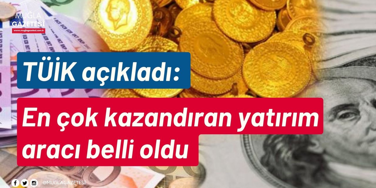 TÜİK açıkladı: En çok kazandıran yatırım aracı belli oldu