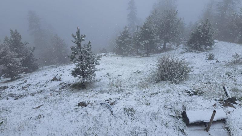 Mayısta kar sürprizi: 7 il beyaza büründü