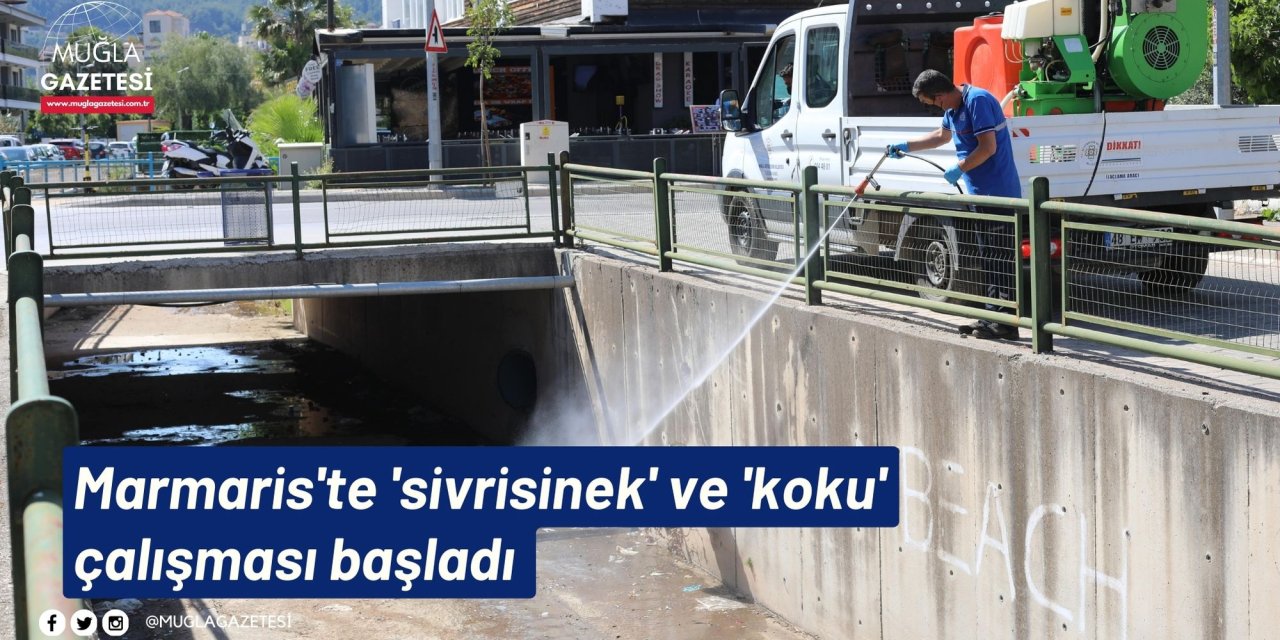 Marmaris'te 'sivrisinek' ve 'koku' çalışması başladı