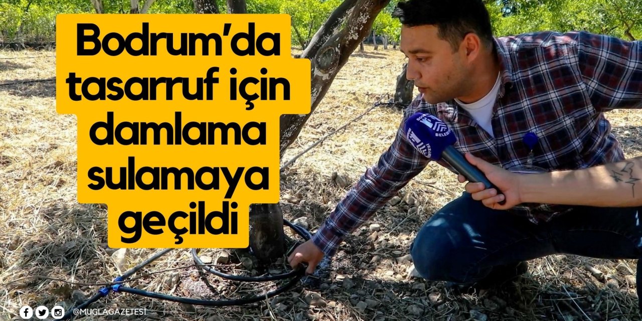 Bodrum’da tasarruf için damlama sulamaya geçildi