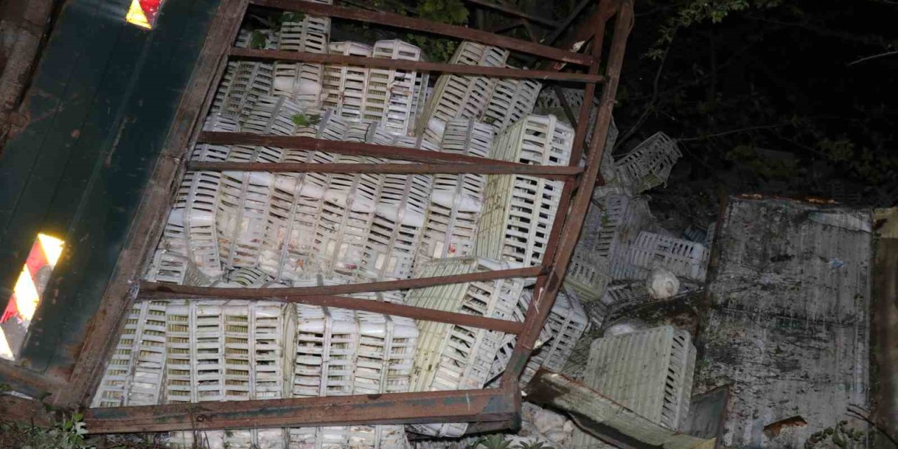 Yüzlerce tavuk telef oldu: 1 yaralı