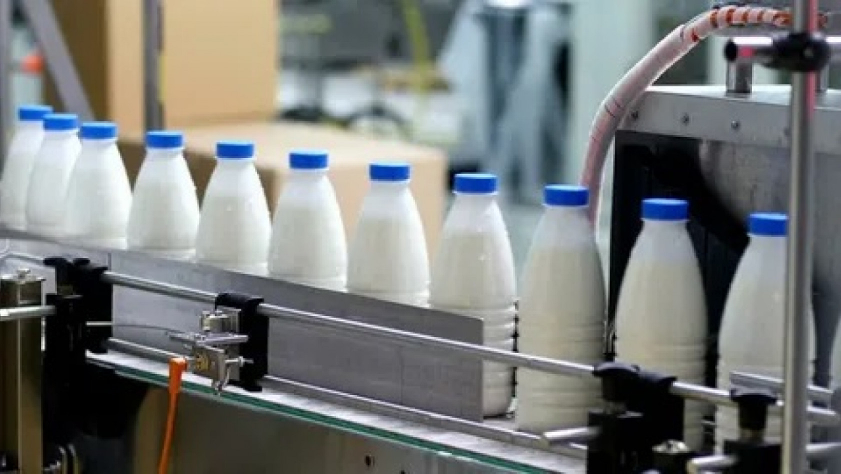 Ünlü süt markası iflas etti! Yüzlerce çalışan işsiz kaldı