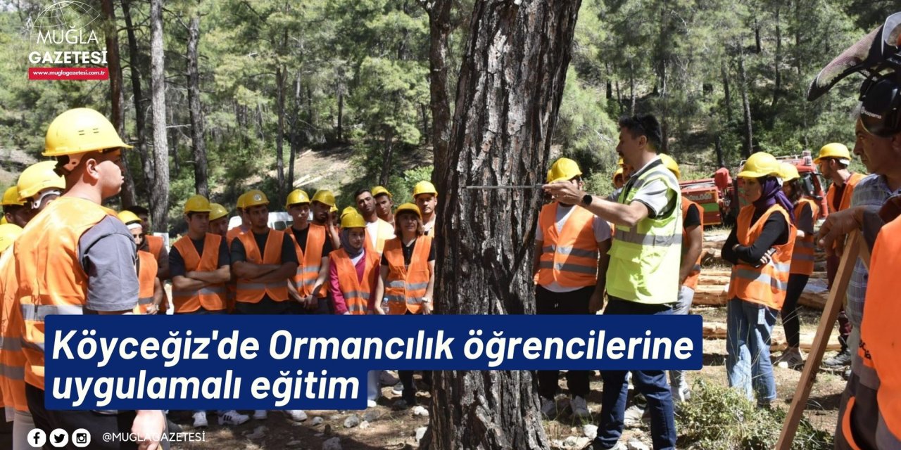 Köyceğiz'de Ormancılık öğrencilerine uygulamalı eğitim