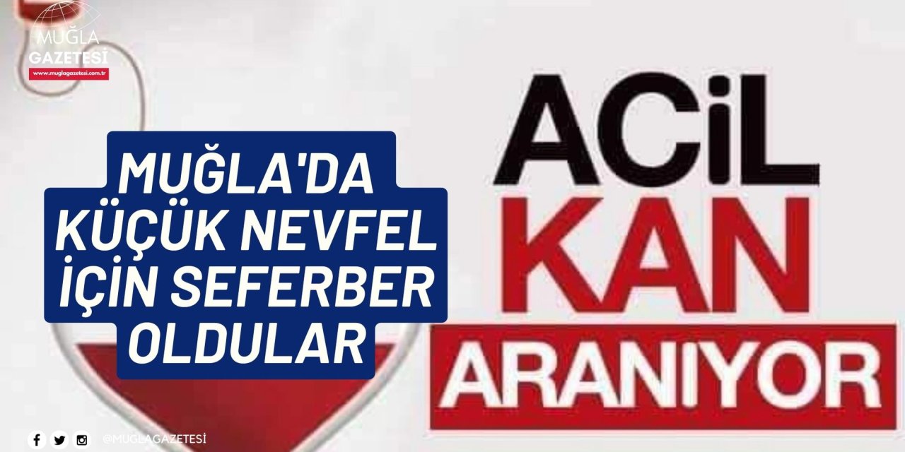MUĞLA'DA KÜÇÜK NEVFEL İÇİN SEFERBER OLDULAR