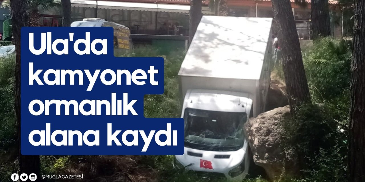 Ula'da kamyonet ormanlık alana kaydı