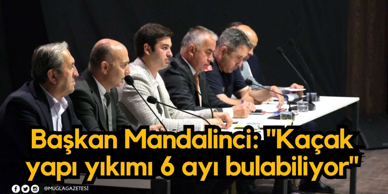 Başkan Mandalinci: 