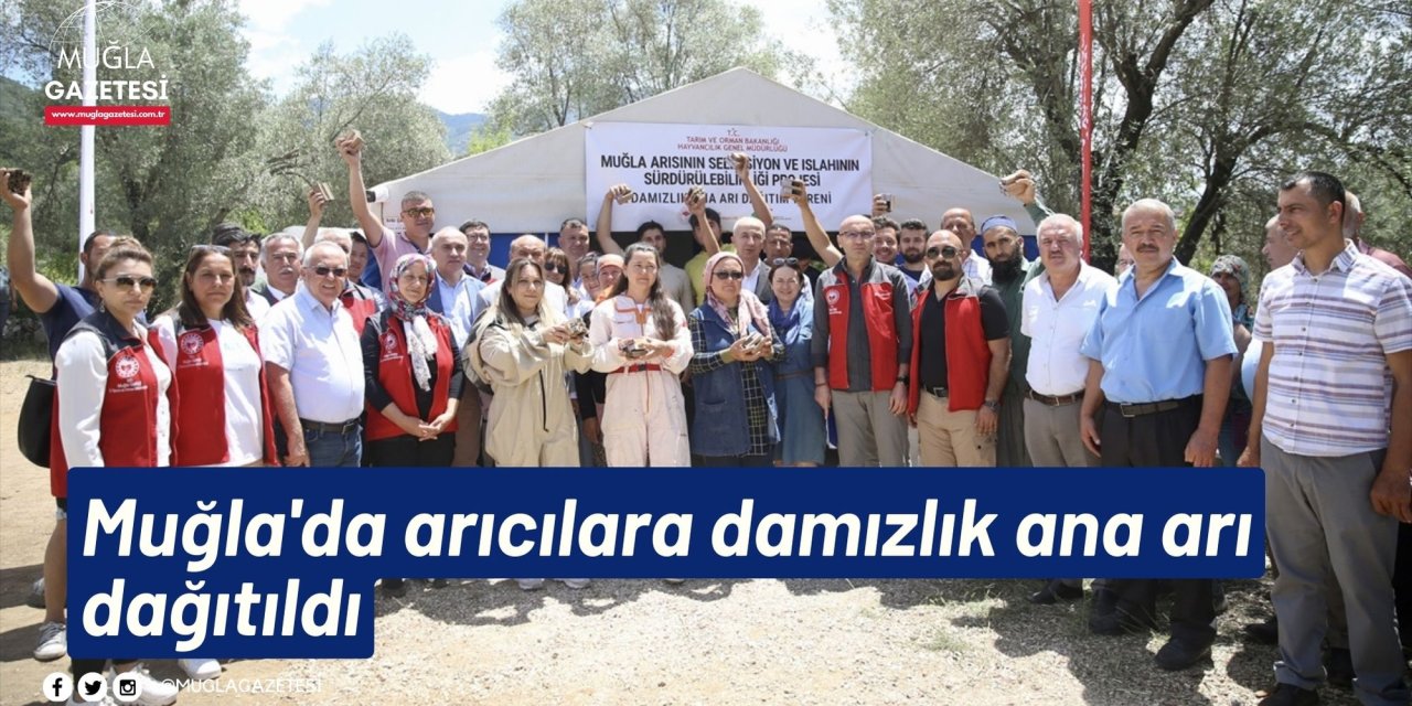 Muğla'da arıcılara damızlık ana arı dağıtıldı